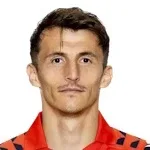 A. Budimir