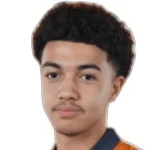 ألي الهوساين